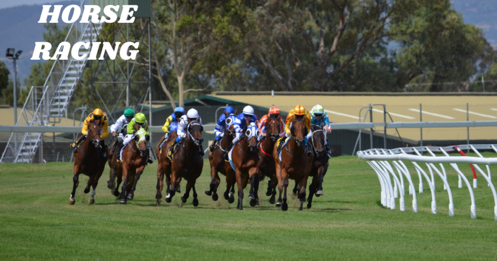 Horse Racing: Two horses with riders, galloping on a lush green racing track, no spectators in sight.